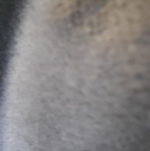 Meet your Posher, Dennis